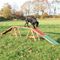 Rampe Trixie Dog Activity Agility pour chien L 456 x l 30 x H 64 cm