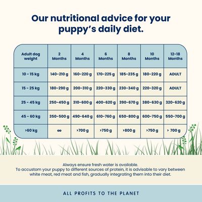 Almo Nature Holistic Medium Puppy kura & ryža