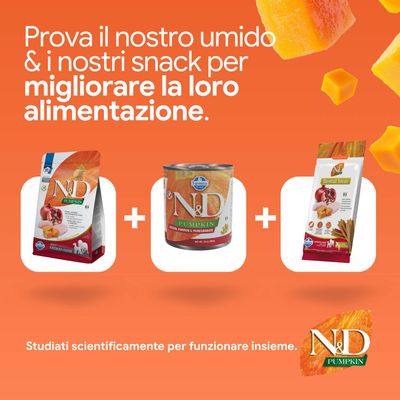 N&D Pumpkin crocchette, alimento umido e dental treats. Sviluppato per migliorare la nutrizione. Studiato scientificamente per un effetto combinato.