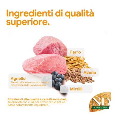 Componenti di alta qualità: agnello, farro, avena e mirtilli. Proteine e cereali antichi per pasti equilibrati. N&D Ancestral Grain.