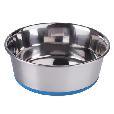 Ciotola in acciaio inox con anello di gomma antiscivolo blu alla base, adatta per cibo o acqua.