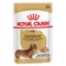Royal Canin Dachshund Mousse 12 x 85 g