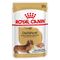 Royal Canin Dachshund Mousse 12 x 85 g