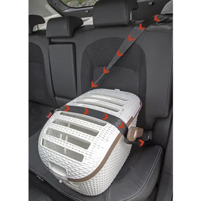 Transportbox van kunststof in de auto vastgemaakt met veiligheidsgordel. Rode pijlen geven de juiste gordelgeleiding voor veilig transport aan.