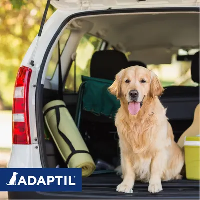 Adaptil logo. Produkt til støtte for hundes velbefindende i stressende situationer som rejser.