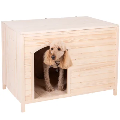 Cuccia per cani in legno con ingresso rettangolare, barboncino all'interno. Cuccia in legno chiaro, adatta a cani di taglia media.