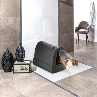 Katzen-Toilette mit Haube und transparenter Schwingtür, Katze verlässt die Toilette. Produktanwendung im Wohnraum gezeigt.