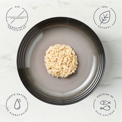 Encore en latas 12 x 156 g comida húmeda para perros