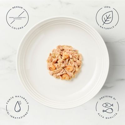 Encore filetto di tonno con gamberetti, ingredienti 100% naturali, 70g. Dolphin-friendly. La confezione mostra il prodotto e un gatto.
