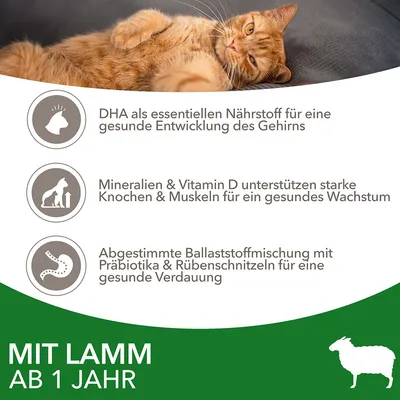 Mit Lamm ab 1 Jahr. DHA für gesunde Gehirnentwicklung, Mineralien & Vitamin D für starke Knochen und Muskeln, Ballaststoffe mit Präbiotika & Rübenschnitzeln für gesunde Verdauung.