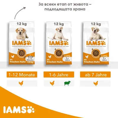 Три опаковки IAMS 12 кг храна за кучета с пиле, за различни възрасти и тегло: 1–12 месеца, 1+ години, 7+ години. Таблица с възрастови групи и видове месо.