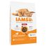 IAMS Advanced Nutrition Indoor Cat con pollo 2 x 10 kg - Pack Ahorro