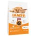 IAMS Advanced Nutrition Indoor Cat con pollo 2 x 10 kg - Pack Ahorro