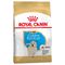 Royal Canin Golden Retriever Puppy 3 kg