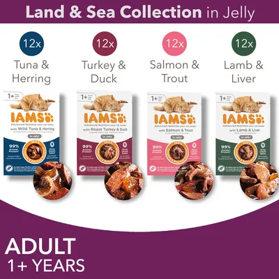 IAMS Land & Sea Collection in Jelly for adult 1+ years, includes 12x Tuna & Herring, 12x Turkey & Duck, 12x Salmon & Trout, 12x Lamb & Liver. 99% animal protein, no added sugar.