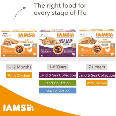 Feeding guide showing IAMS food options by age: 1-12 months with chicken, 1-6 years land and sea, land or sea collection, 7+ years land and sea collection or with chicken.