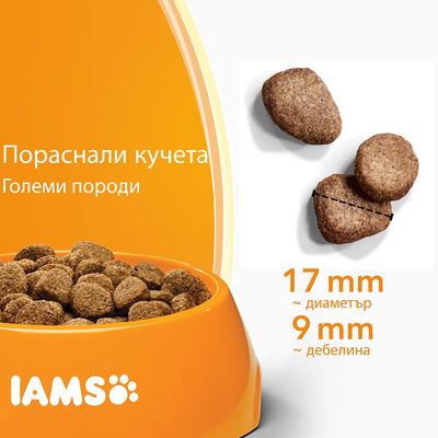 IAMS гранули за пораснали кучета от големи породи, показани в купа. Размер на гранулите: диаметър 17 мм, дебелина 9 мм. Видим текст: Пораснали кучета, Големи породи.