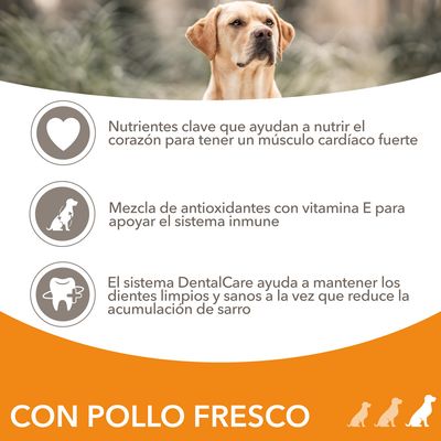 Nutrientes clave para el corazón, antioxidantes con vitamina E para el sistema inmune y sistema DentalCare para dientes limpios. Texto: CON POLLO FRESCO.