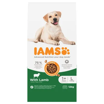 Sac IAMS With Lamb pour chien adulte, 12 kg, 75 % protéines animales, système DentalCare, 1+ an, L >25 kg, sans blé, nutrition complète et équilibrée. Texte en anglais visible.