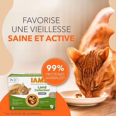 Favorise une vieillesse saine et active, 99 % protéines animales*, IAMS Land Collection in Jelly pour chats 7+ ans, 12x85g. *Sur le total de protéines. Texte en anglais sur l’emballage.