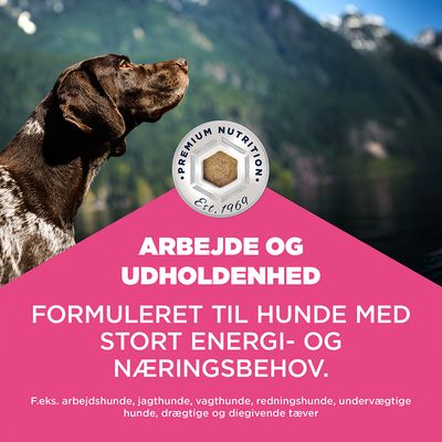 Arbejde og udholdenhed. Udviklet til hunde med et højt energi- og næringsbehov, f.eks. arbejds-, jagt-, vagt-, redningshunde, undervægtige, drægtige og diegivende tæver.