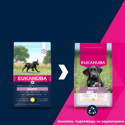 Eukanuba Premium Nutrition Puppy Large & Giant Breed с пиле - 2 x 15 кг