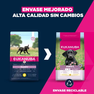 Eukanuba Premium Nutrition Junior Large & Giant Breed pollo - 15 kg
