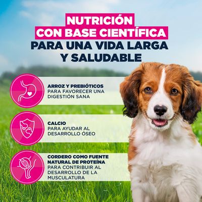 Eukanuba Premium Nutrition Senior Large & Giant Breed cordero y arroz - 2 x 12 kg - Pack ahorro
