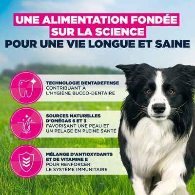 Eukanuba Premium Nutrition Adult Medium Breed poulet 100 g offertes !