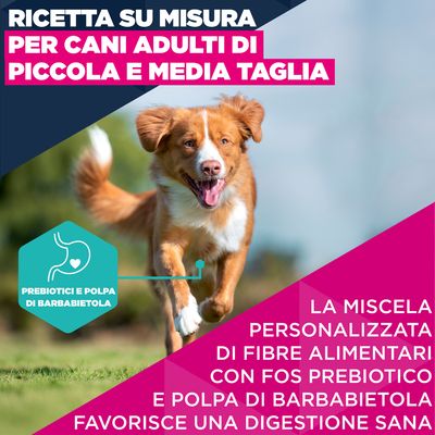 Eukanuba Premium Nutrition Adult Small & Medium Breed Salmone