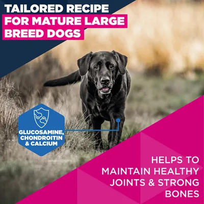 Eukanuba Premium Nutrition Mature Large & Giant Breed kana - säästöpakkaus: 2 x 15 kg