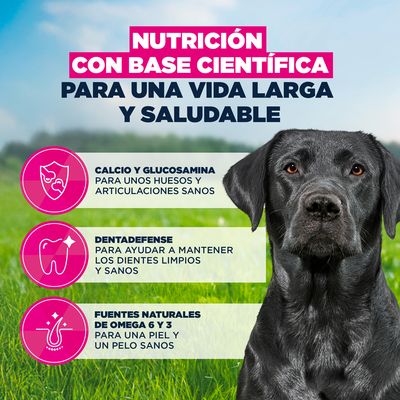 Eukanuba Premium Nutrition Mature Large & Giant Breed pollo - 15 kg