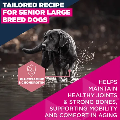 Eukanuba Premium Nutrition Senior Large & Giant Breed kana - 15 kg