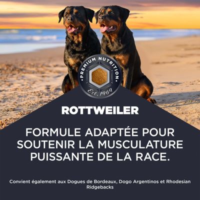 Rottweiler. Formule pour soutenir une musculature puissante. Convient également au Dogue de Bordeaux, au Dogue Argentin et au Rhodesian Ridgeback.