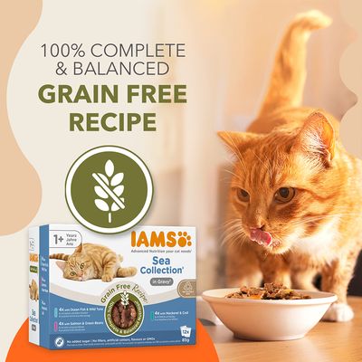 IAMS Advanced Nutrition Grain Free Sea Collection in Sauce