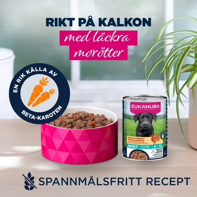 Eukanuba Adult Rich in kalkon med morötter - Sparpack: 48 x 400 g