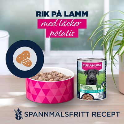 Eukanuba Adult Rich in lamm med potatis