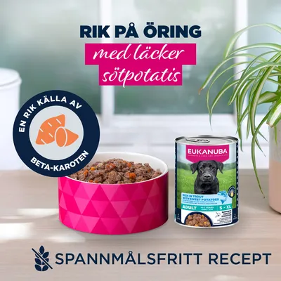 Eukanuba Adult Rich in öring med sötpotatis - Sparpack: 48 x 400 g