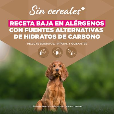 Eukanuba Grain Free Puppy Small & Medium Breed pescado de mar - 12 kg