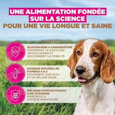 Eukanuba Grain Free Senior Small & Medium Poisson de mer - lot économique : 2 x 12 kg