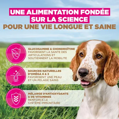 Eukanuba Grain Free Senior Small & Medium Poisson de mer - 3 kg