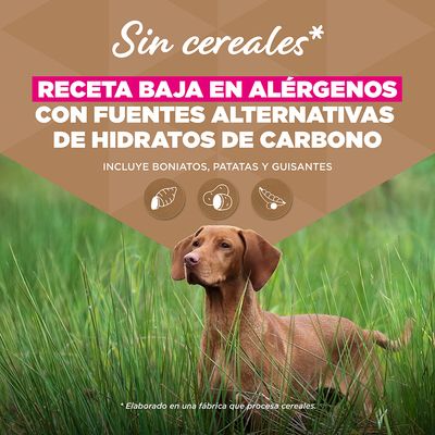 Eukanuba Senior Large Breed Grain Free con pescado de mar