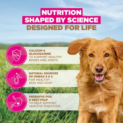 Eukanuba Grain Free Adult Large med lam