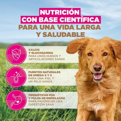 Eukanuba Grain Free Adult Large con cordero - Pack % - 2 x 12 kg