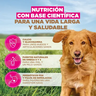 Eukanuba Grain Free Adult Large con cordero - 12 kg