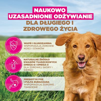 Eukanuba Grain Free Adult Large, jagnięcina - 12 kg