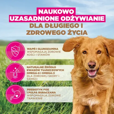 Eukanuba Grain Free Adult Large, jagnięcina - 12 kg