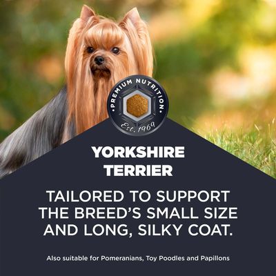 Eukanuba Adult Breed Care Specific Yorkshire Terrier