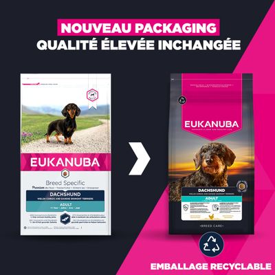 Eukanuba Dachshund Adulte Croquettes : nouveau design d'emballage recyclable, qualité toujours aussi élevée.