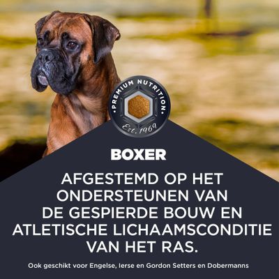 Premium Nutrition Est. 1969. Boxer. Afgestemd op de ondersteuning van de gespierde lichaamsbouw en de atletische conditie van het ras. Ook geschikt voor Setters en Dobermanns.